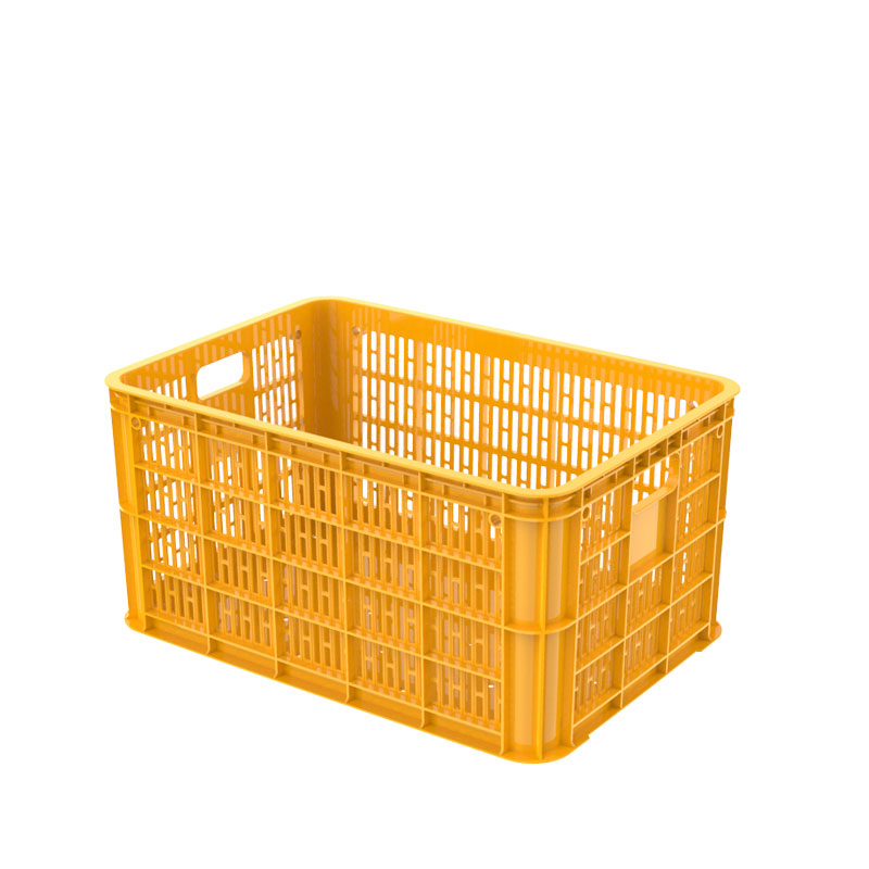 Sóng Hở 3T1
